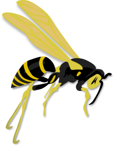 Wasp PNG-74590